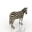 Zebra_2.jpg Zebra 3D model