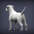 Border-terrier5.jpg Border terrier 3D print model