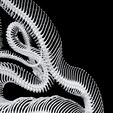 3.jpg SERPENTE ROSPO ANFIBIO RETTILE COBRA PITONE VIPERA ANIMALE ANATOMIA 3D MODELLO SCHELETRO OCEANO OSSA