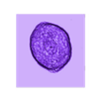 IC 418.stl IC 418 Nebula 3D software analysis