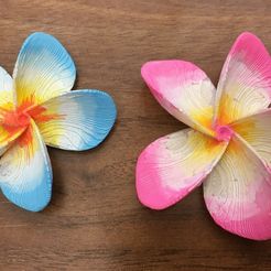 IMG_9789.jpg STL file Plumeria Flower・Template to download and 3D print