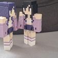 20250815_162628.jpg Minecraft Aphmau play figure