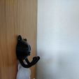 IMG_20200418_152846.jpg Cat hook hanger