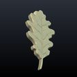 Oak_Leaf-01.jpg Oak Leaf