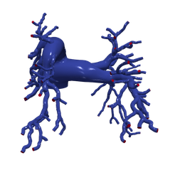 pulmonary1.png Fichier STL Modèle 3d des artères pulmonaires・Modèle à télécharger et à imprimer en 3D, blueshirt
