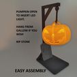 PUMPKIN OPEN TO INSERT LED LIGHT. HANG FROM GALLOW IF YOU WISH RIP STONE EASY ASSEMBLY Illuminated hanging Halloween pumpkin