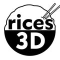 rices3D