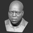 13.jpg The Notorious B.I.G. bust 3D printing ready stl obj formats