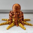 photo4.jpg Funny Flexi Octopus
