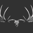 2023-01-06-1.png Megaloceros Deer skull