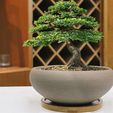 1fa477ea-8c9c-41bc-b457-94c646fc33b9.__CR0,0,970,600_PT0_SX970_V1___.jpg mold- Round Vase/Pot for bonsai