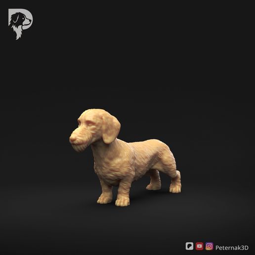 Dachshund-Miniature-Wire-Haired-Pose-01-Dog-3D-Print-9s.jpeg Dackel Miniatur Drahthaar Pose 01