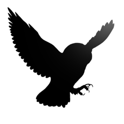 Näyttökuva-2022-01-29-133649.png Настенный декор в виде летящей совы