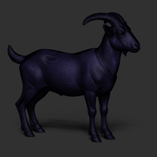 20.png Nanny goat