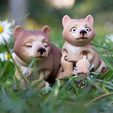 IMG_2895.jpg 3D file Bear flexi animal toy・3D printing template to download