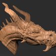 D.434.jpg Dragon Head 02