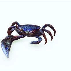02.jpg Crab DOWNLOAD Crab 3d Model animated for Blender-Fbx-Unity-Maya-Unreal-C4d-3ds Max - 3D Printing Crab Crab - POKÉMON - DINOSAUR - FISH