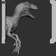Velociraptor_Mikael_Tomaz-5.jpg STL file Velociraptor Hunting Trophy 3D print model・3D printing design to download
