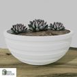 24.jpg FLOWER POT FOR HOME DECORATION. FP24