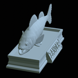 zander-statue-4-open-mouth-1-45.png fish zander / pikeperch / Sander lucioperca  open mouth statue detailed texture for 3d printing