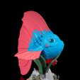 Bella,-the-Betta-Fish-2.jpg Bella, the Betta Fish
