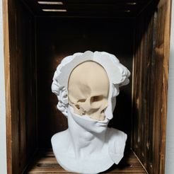 Le crâne de David