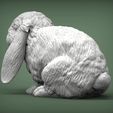 Rabbit4.jpg Kaninchen American Fuzzy Fop 3D-Druck Modell