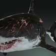 0y.jpg SHARK, DOWNLOAD Shark 3D modeL - Animated for Blender-fbx-unity-maya-unreal-c4d-3ds max - 3D printing SHARK SHARK FISH - TERROR  - PREDATOR - PREY - POKÉMON - DINOSAUR - RAPTOR