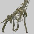 03.jpg Brachiosaurus: Complete 3D anatomy
