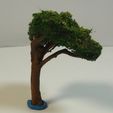DSC01863.JPG Model Tree #7 - Wargaming Tree for Your Tabletop