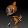 5.jpg Chimchar
