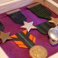 P1033360.JPG Wing Commander Medal Set