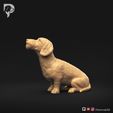 Dachshund-Miniature-Wire-Haired-Pose-05-Dog-3D-Print-8s.jpeg Dachshund Miniature Wire Haired Pose 05