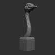 3.jpg Ostrich head