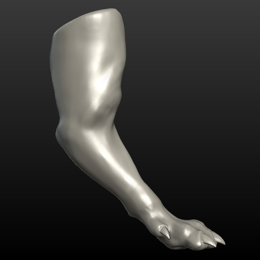 Wolf_Paw-014.png Wolf Paw