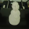 SDC10027.JPG Voronoi or wire effect snowman