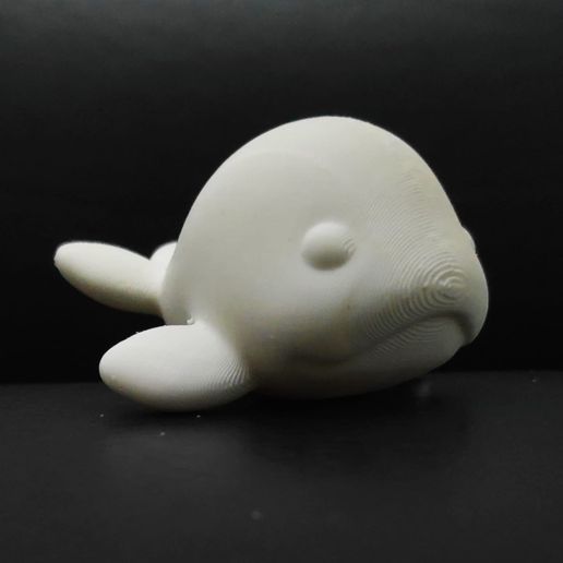 Cod2799-Beluga-Whale-8.jpeg Archivo 3D Ballena Beluga・Modelo de impresora 3D para descargar, Usagipan3DStudios