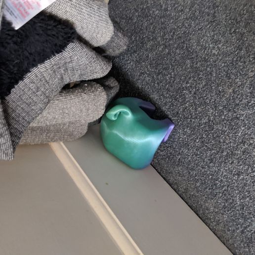 IMG_20200601_101559.jpg Pug Tope de puerta