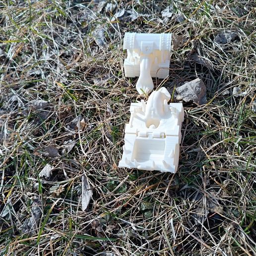 IMG_20250303_121417.jpg Flexi mimic!