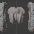 11.png 3D Model of Brain with Cerebellum and Brain Stem