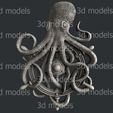 P335a.jpg octopus