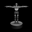 T-PoseN0.png Dummybot Statue : Valorant : T-Pose