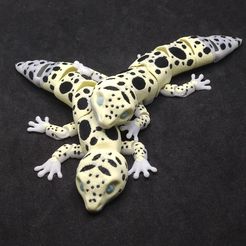 DSC_0363.jpg Articulated Leopard Gecko