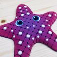 IMG_4483.jpeg Flexi Starfish V3, Small