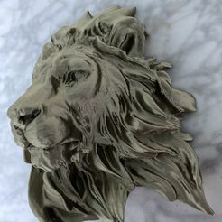 IMG_4827.jpg Free STL file lion bust for wall・Model to download and 3D print