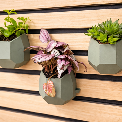 ⭐ SmartFlow wall flower pot - geometric, stylish, also for acoustic panels ⭐