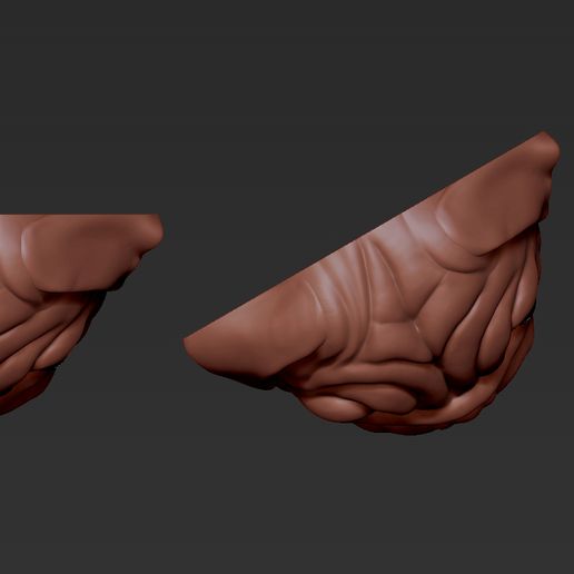 04.jpg Cabeza de doguillo