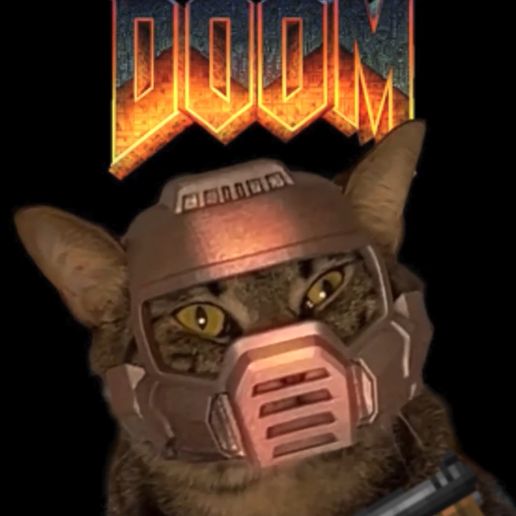 IMG_3375.jpeg Doom Marine Cat Helmet 🔥🔥