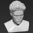 edward-cullen-twilight-pattinson-bust-full-color-3d-printing-3d-model-obj-mtl-stl-wrl-wrz (24).jpg Edward Cullen Twilight Robert Pattinson bust 3D printing ready