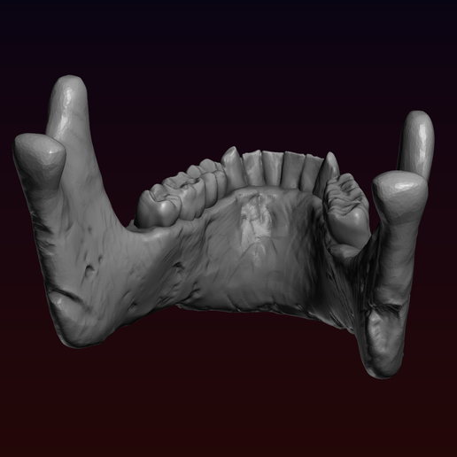 22.png Skull detailed